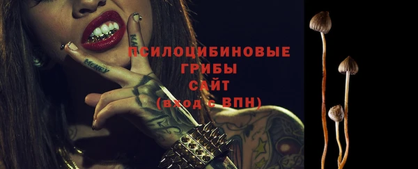 мдма Каменногорск