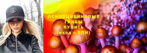 мдма Каменногорск