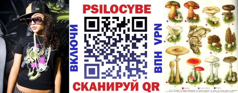 Купить где  Закаменск  Псилоцибиновые грибы мицелий 